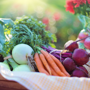 Farmers Market Produce Stand